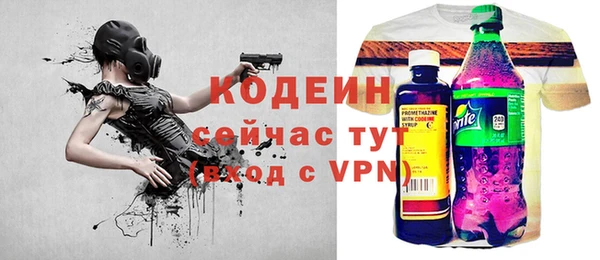 apvp Бородино