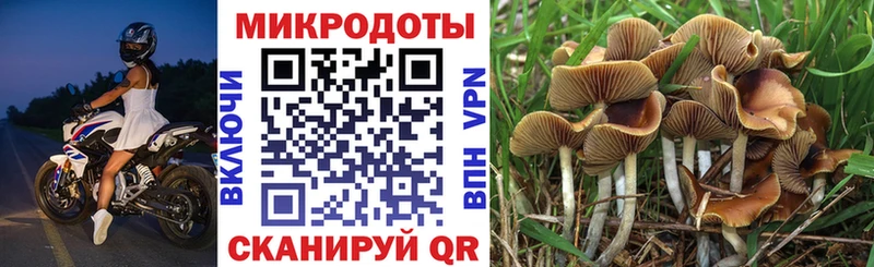 кракен ссылки  Венёв  Псилоцибиновые грибы мухоморы 